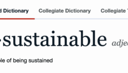 dictionary definition of unsustainable, not capable of being sustained.