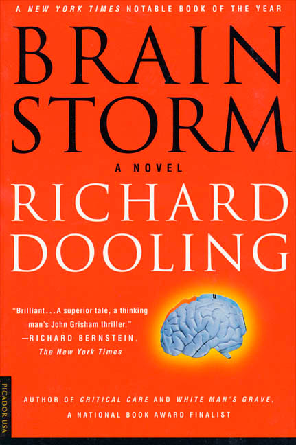 Brain Storm a novel by Richard Dooling
