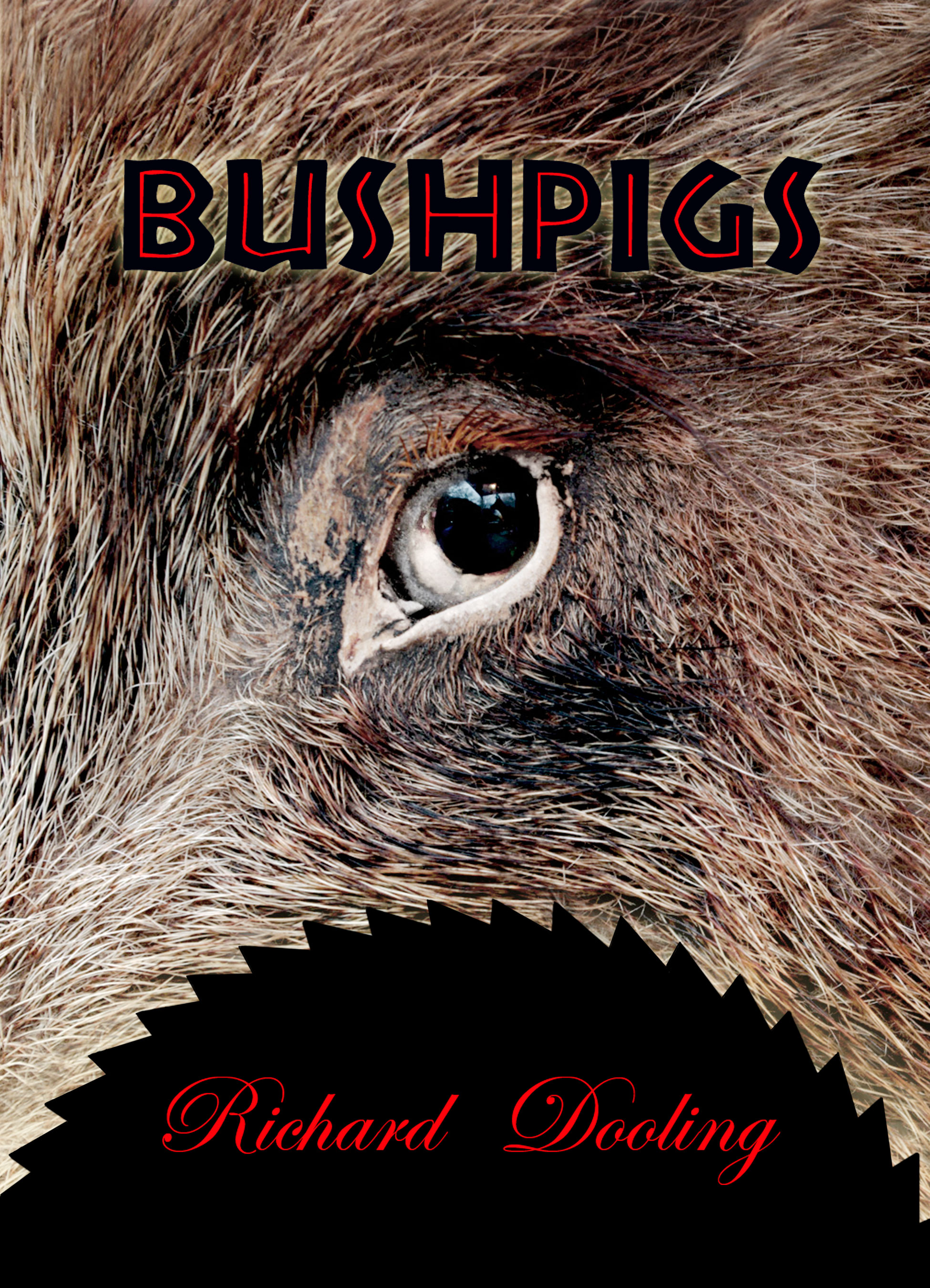 Bush Pigs: A Tale of Reverse Culture Shock